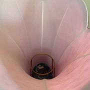 Lampshade in pinkish-burgundy fabric