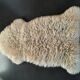 Real sheepskin 53x88cm