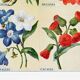 Poster featuring bartonia, begonia, browallia, and cacalia