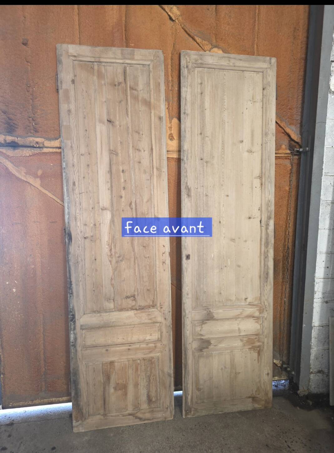 Pair of doors, 19th century