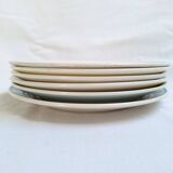 Flat plates Luneville, Céranord, Badonviller