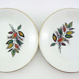 6 flat porcelain plates - foliage decoration Sous-Bois - Digoin & Sarreguemines France