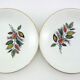 Set de 6 assiettes plates en porcelaine décor feuillage Sous-Bois - Digoin & Sarreguemines France