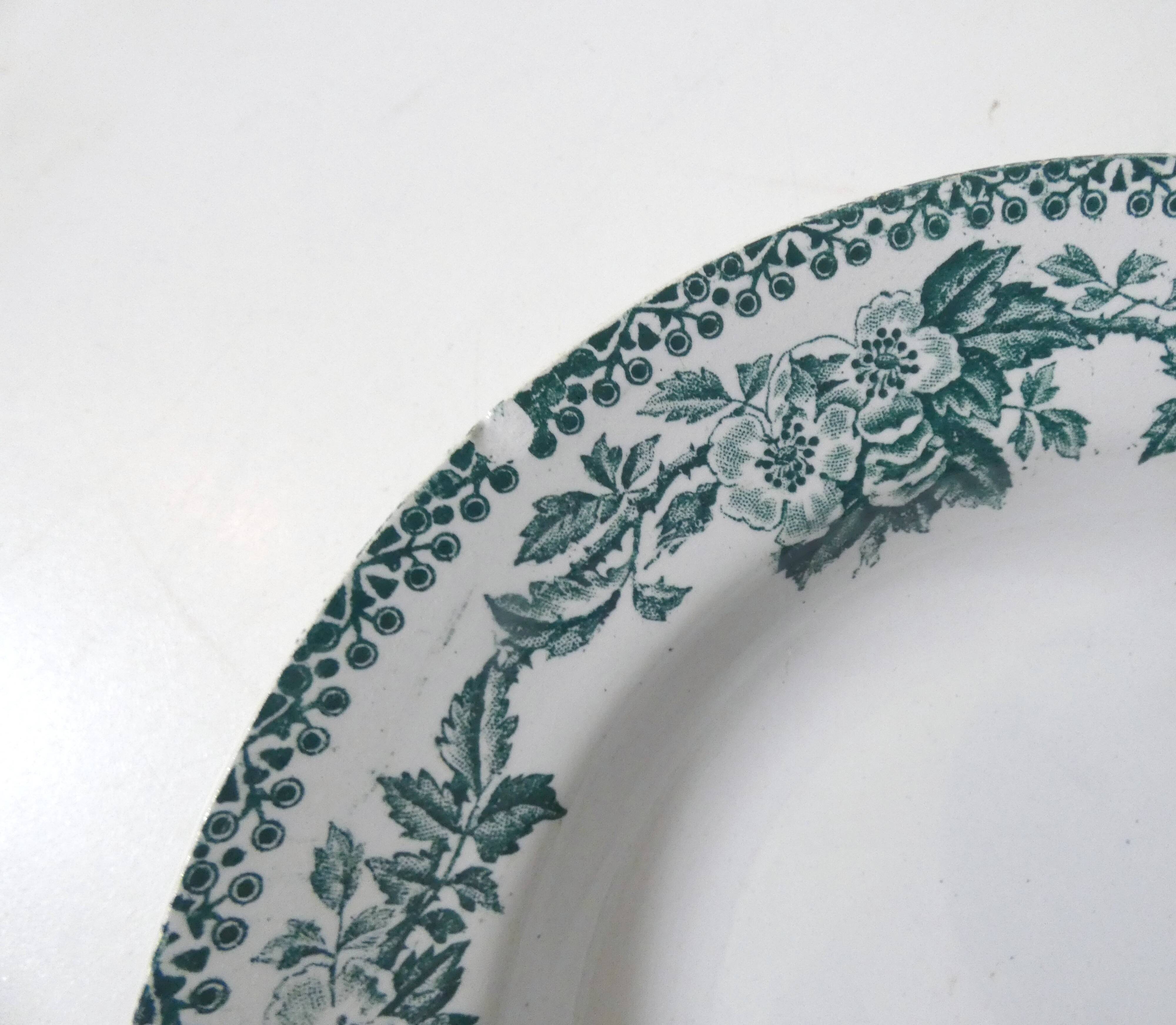 Iron earth 5 deep plates model flowers eglantines guadeloupe