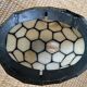 Tiffany-Style Turtle Lamp-1980s