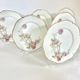 6 flat plates Baltimore Rose by Haviland Limoges