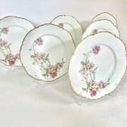 6 Assiettes plates Baltimore Rose de Haviland Limoges