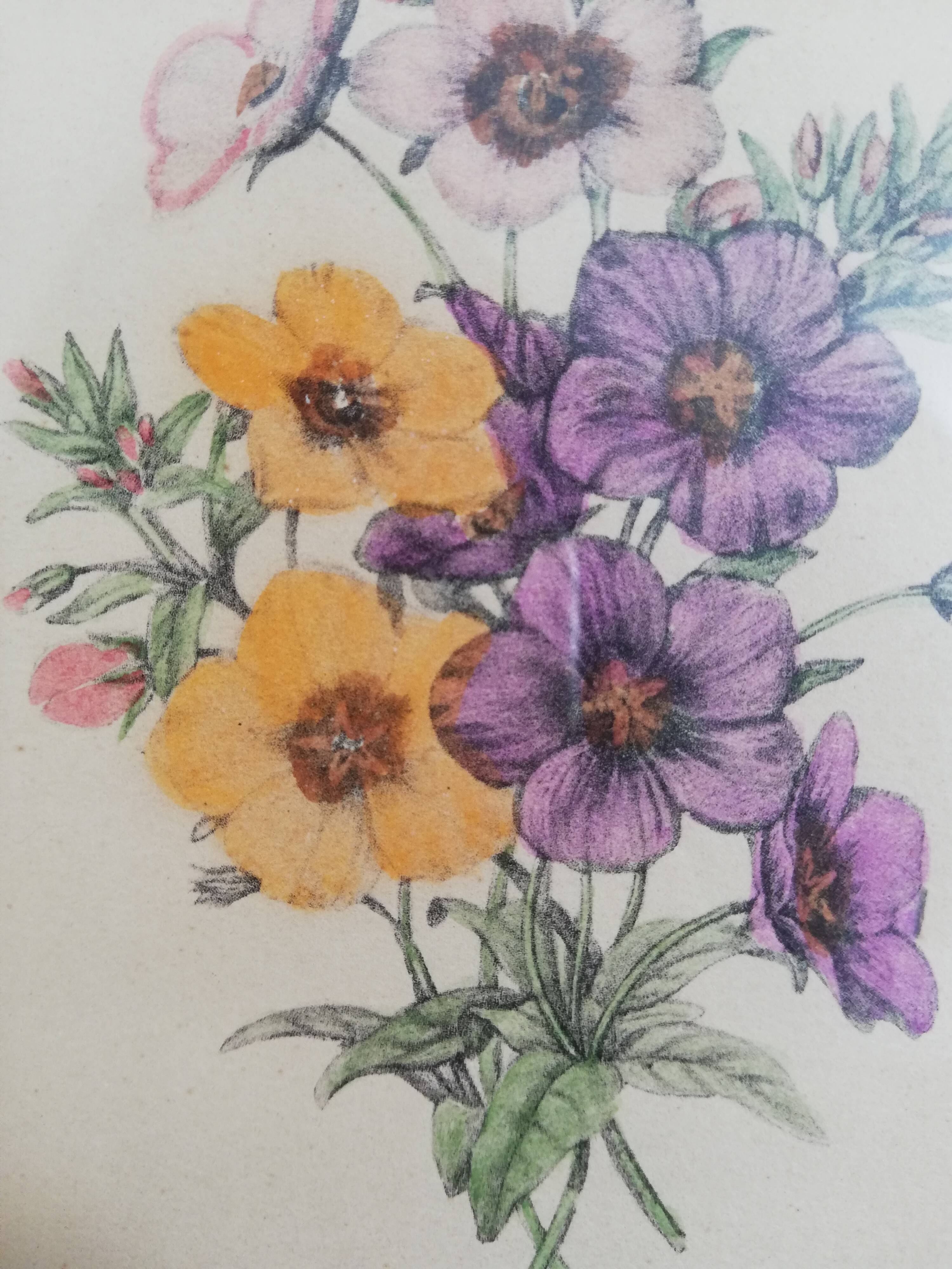 Old watercolor frame 1950