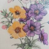 Old watercolor frame 1950