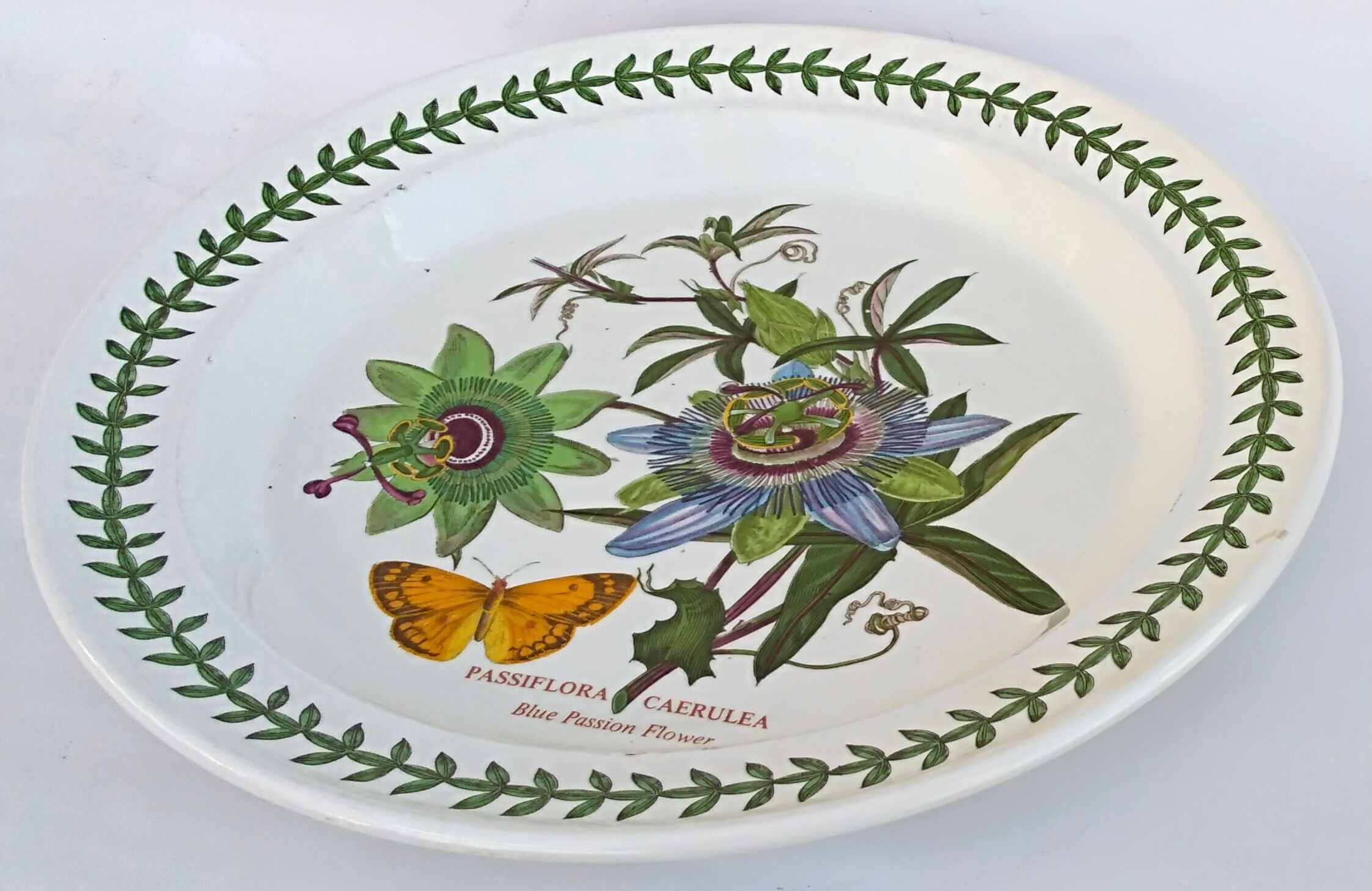 Set of 2 dishes earthenware portmeirion made in england décor botaznic garden