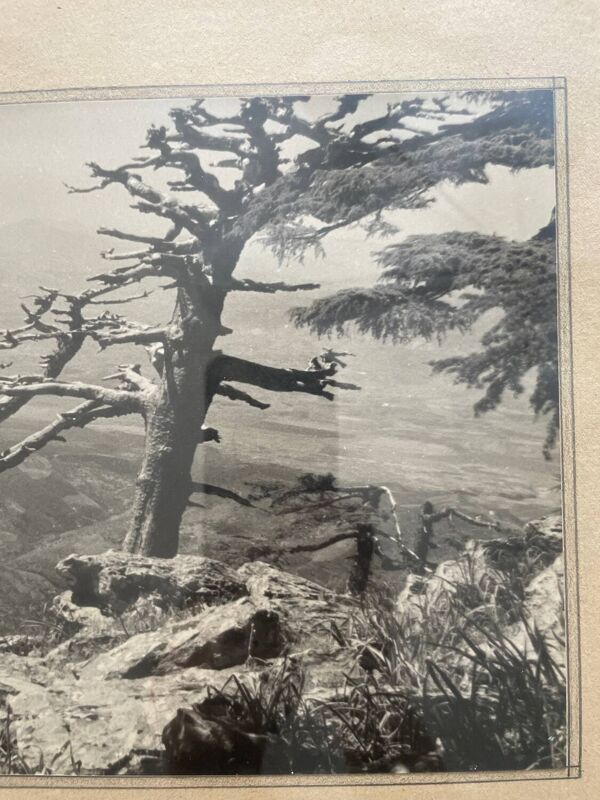 Photographie tirage argentique collection 1950