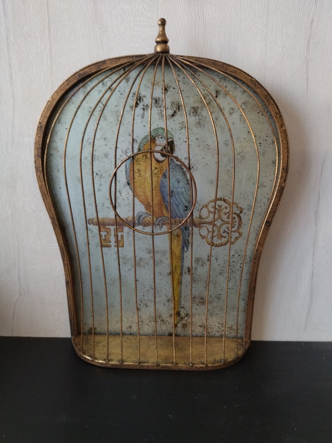Vintage bird cage trompe-oeil painting