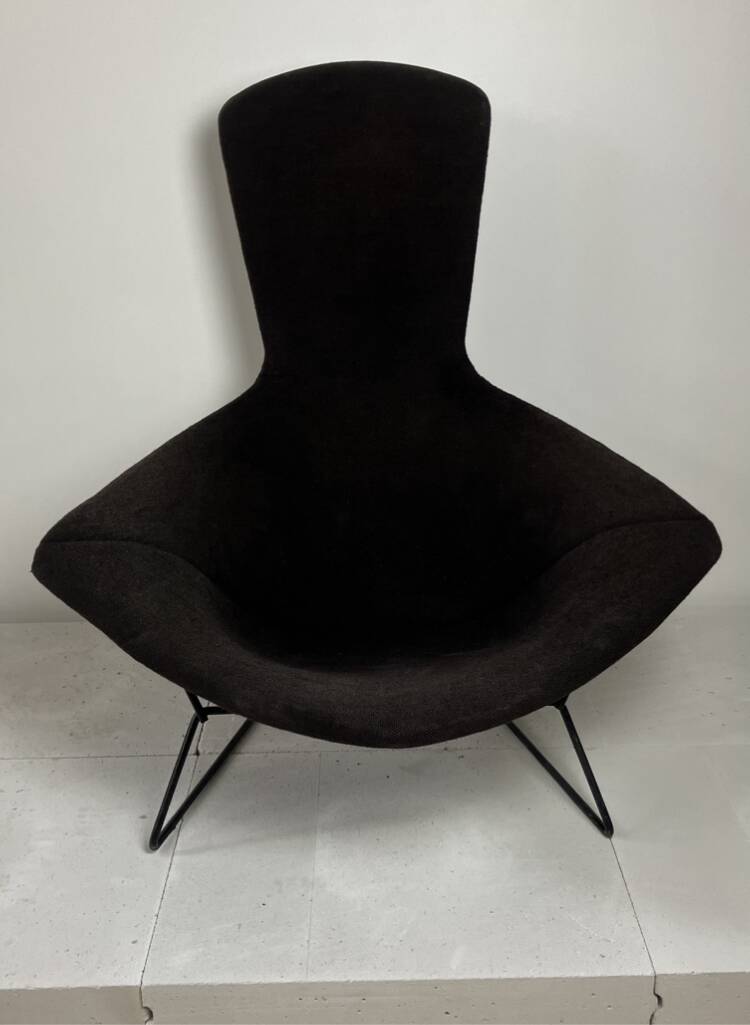 Model Bird armchair by Harry Bertoia for Knoll, 1970s