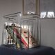TMP chrome magazine rack by Willi Glaeser
