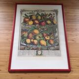 Ancient English botanical board of April 1732