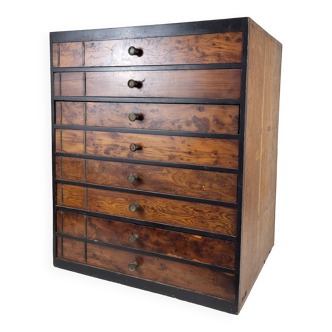Furniture / Cabinet entomology XIXth