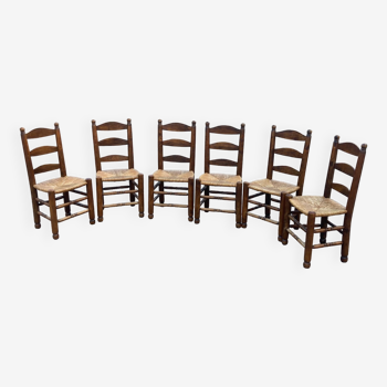 Lot de 6 chaises en orme