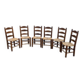 Set of 6 elm chairs