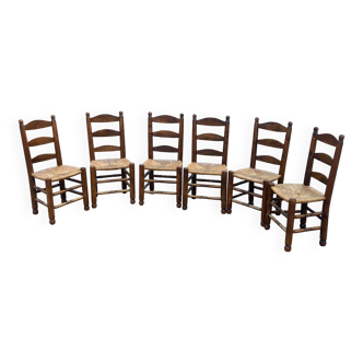 Set of 6 elm chairs