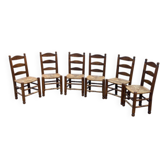 Lot de 6 chaises en orme