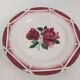 5 Digoin Sarreguemines dinner plates