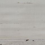 Grocery counter from the 30s