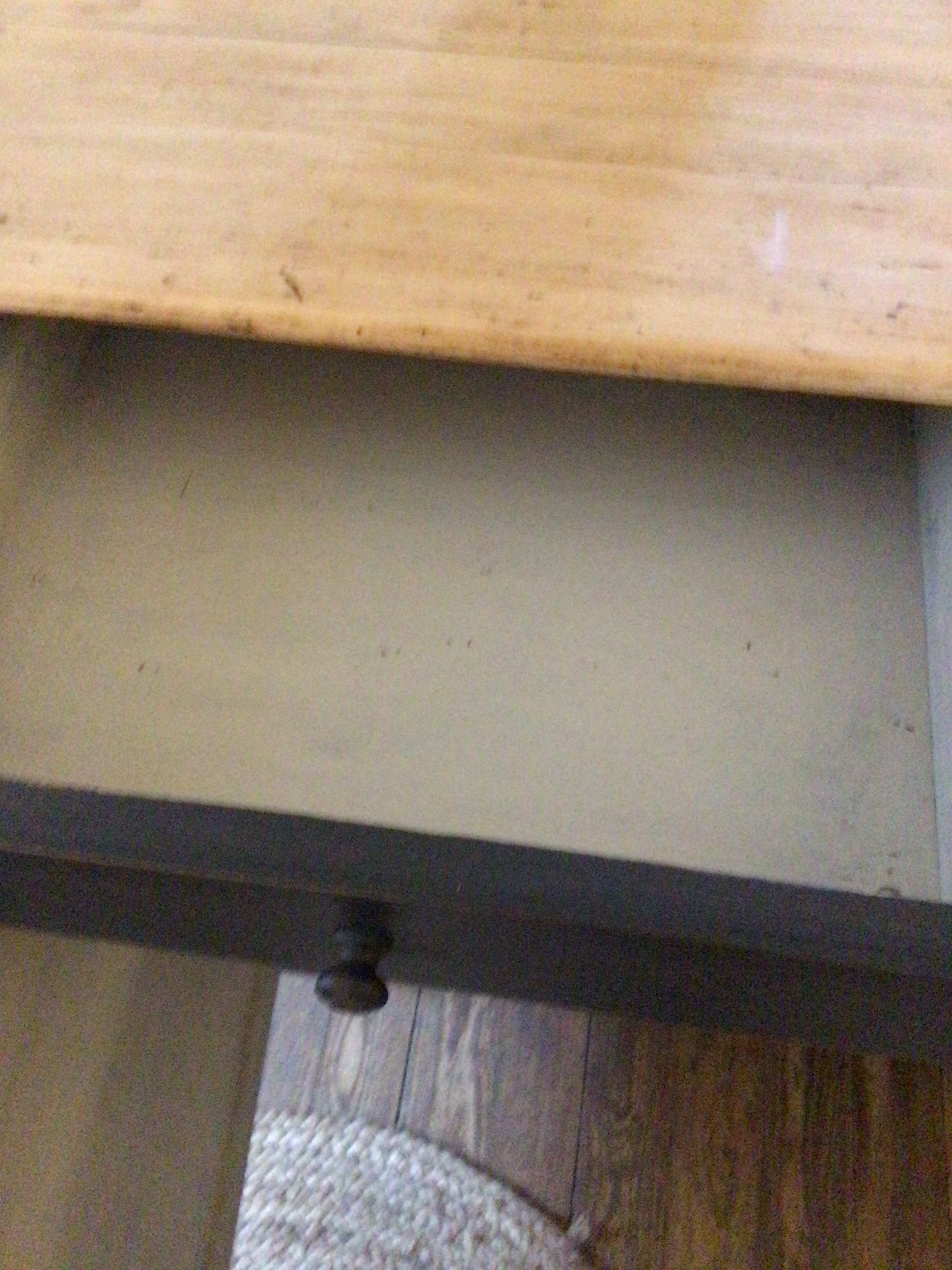 Parisian buffet in fir tree