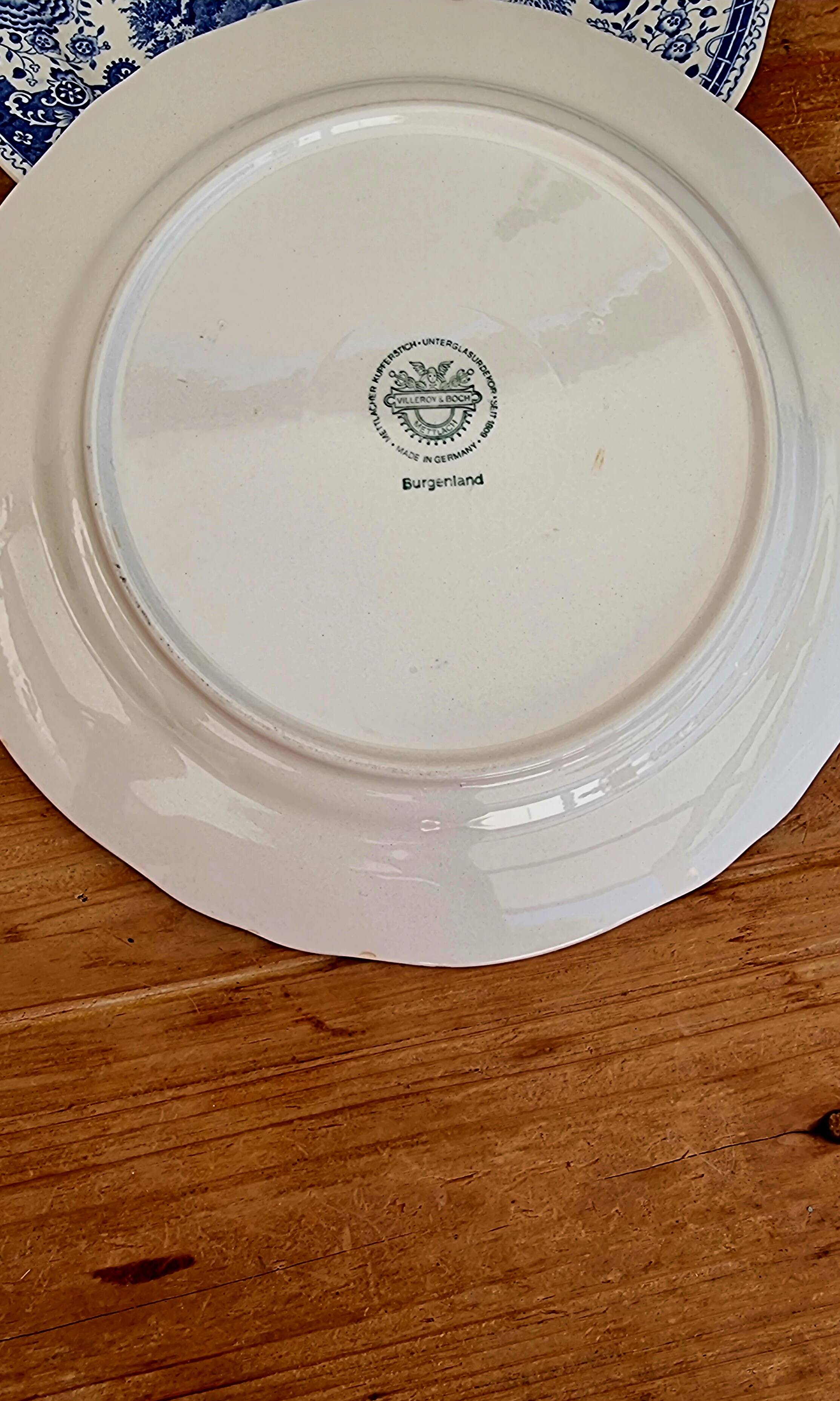 Set of 2 Villeroy & Boch Burgenland dinner plates