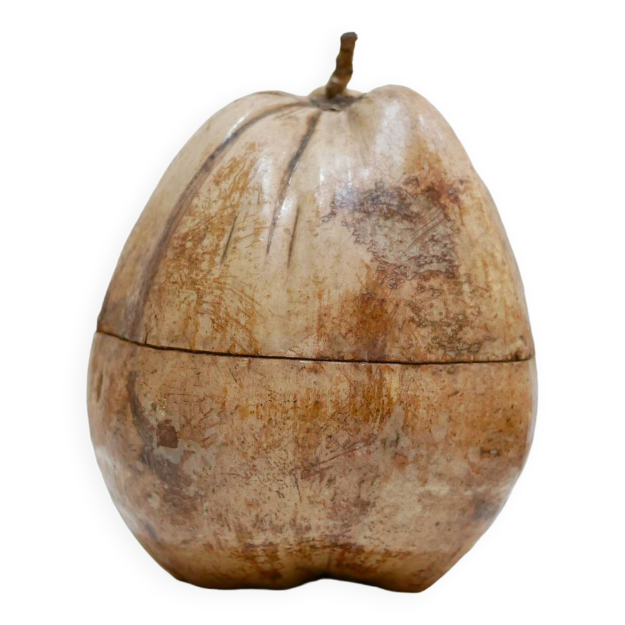 Vintage Coconut Ice Bucket