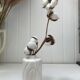 Vase graphique