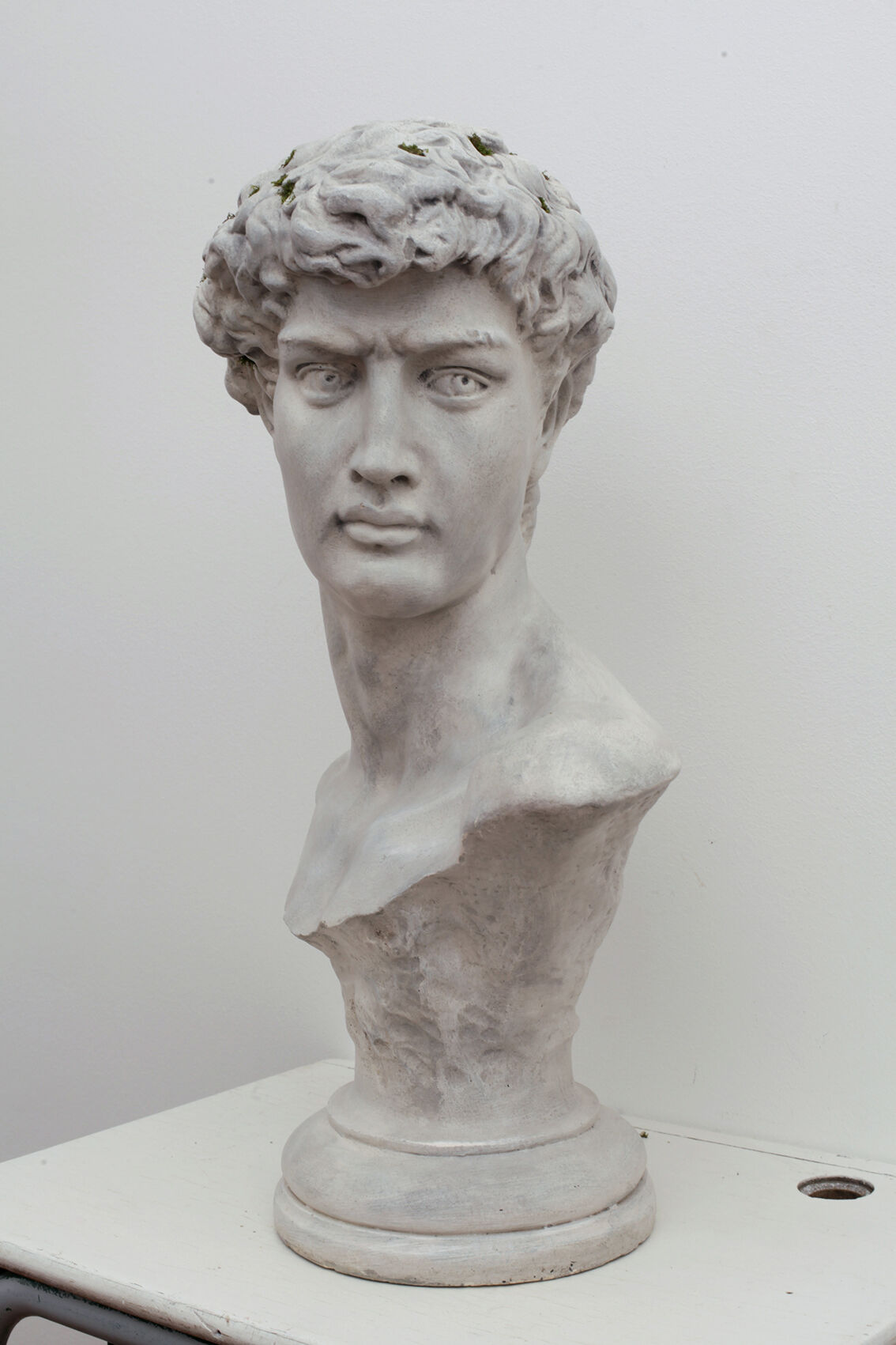 Sculpture bust of David