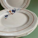 Flat plates Sarreguemines