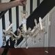 vintage 1960s glass and brass pendant chandelier with pendants