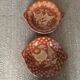 2 terracotta dishes