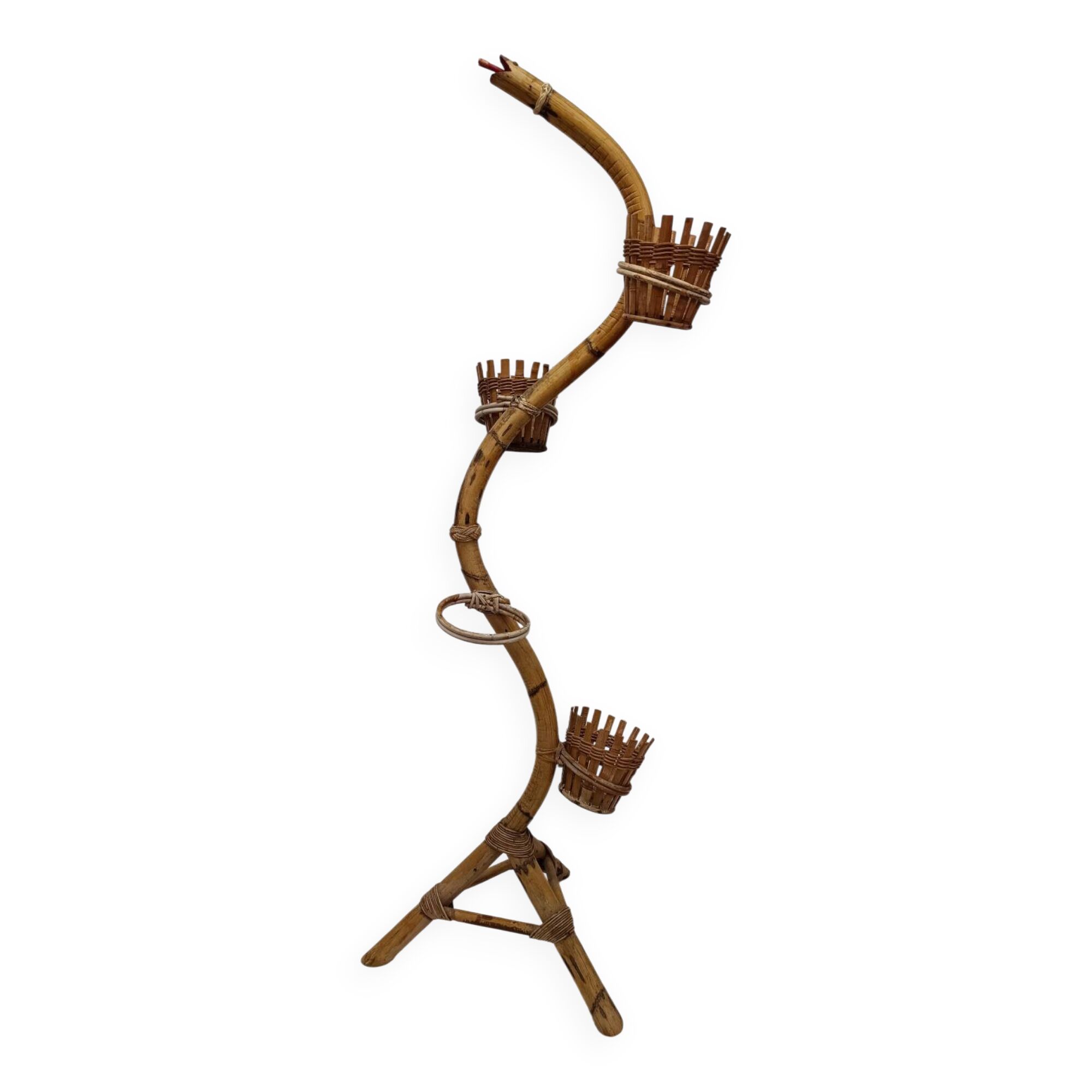 Bamboo snake