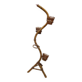 Bamboo snake