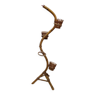 Bamboo snake
