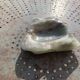Ashtray cup in a green polished stone and vintage veins
