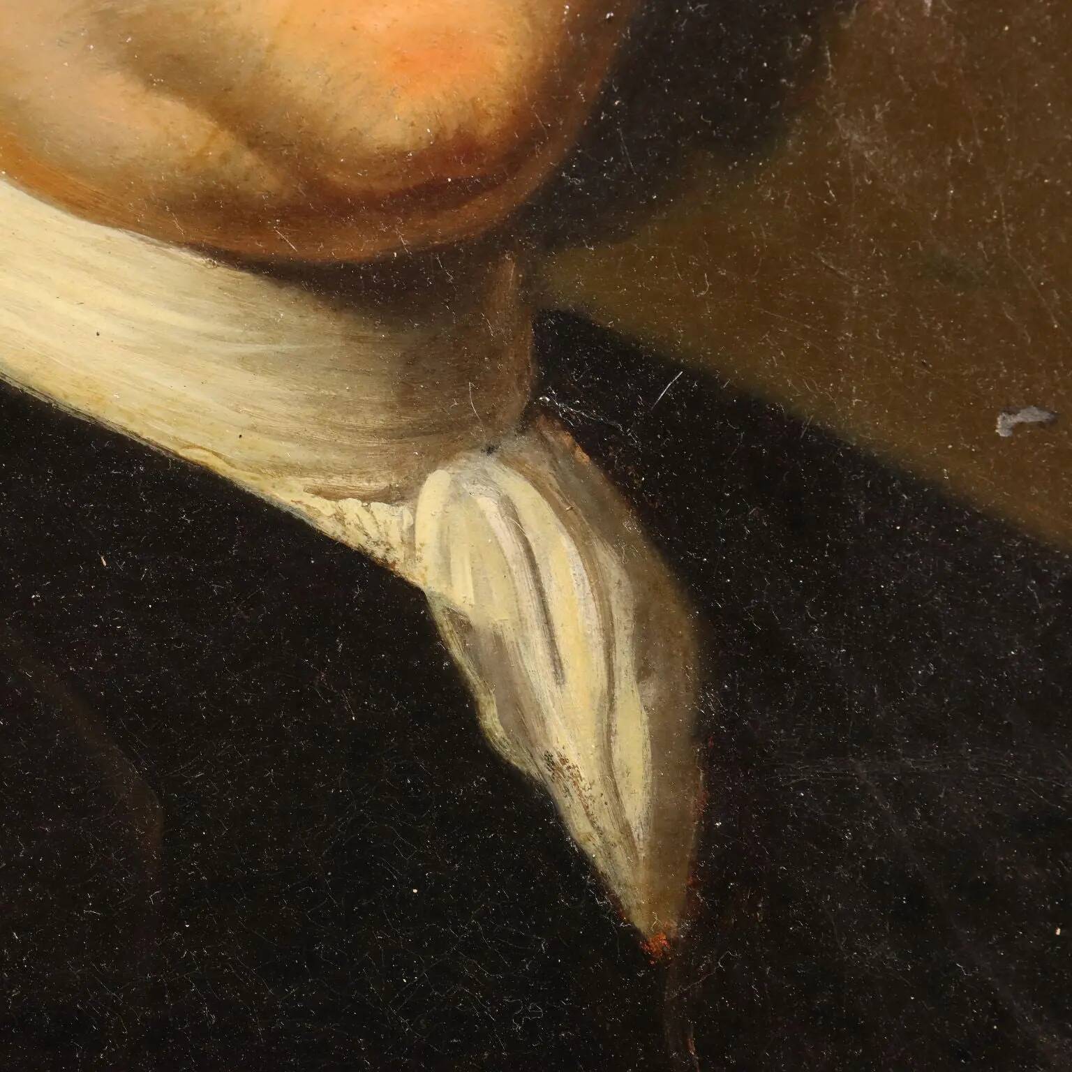Ancient painting, portrait of Petrus Camper, oil on panel, 18th century.