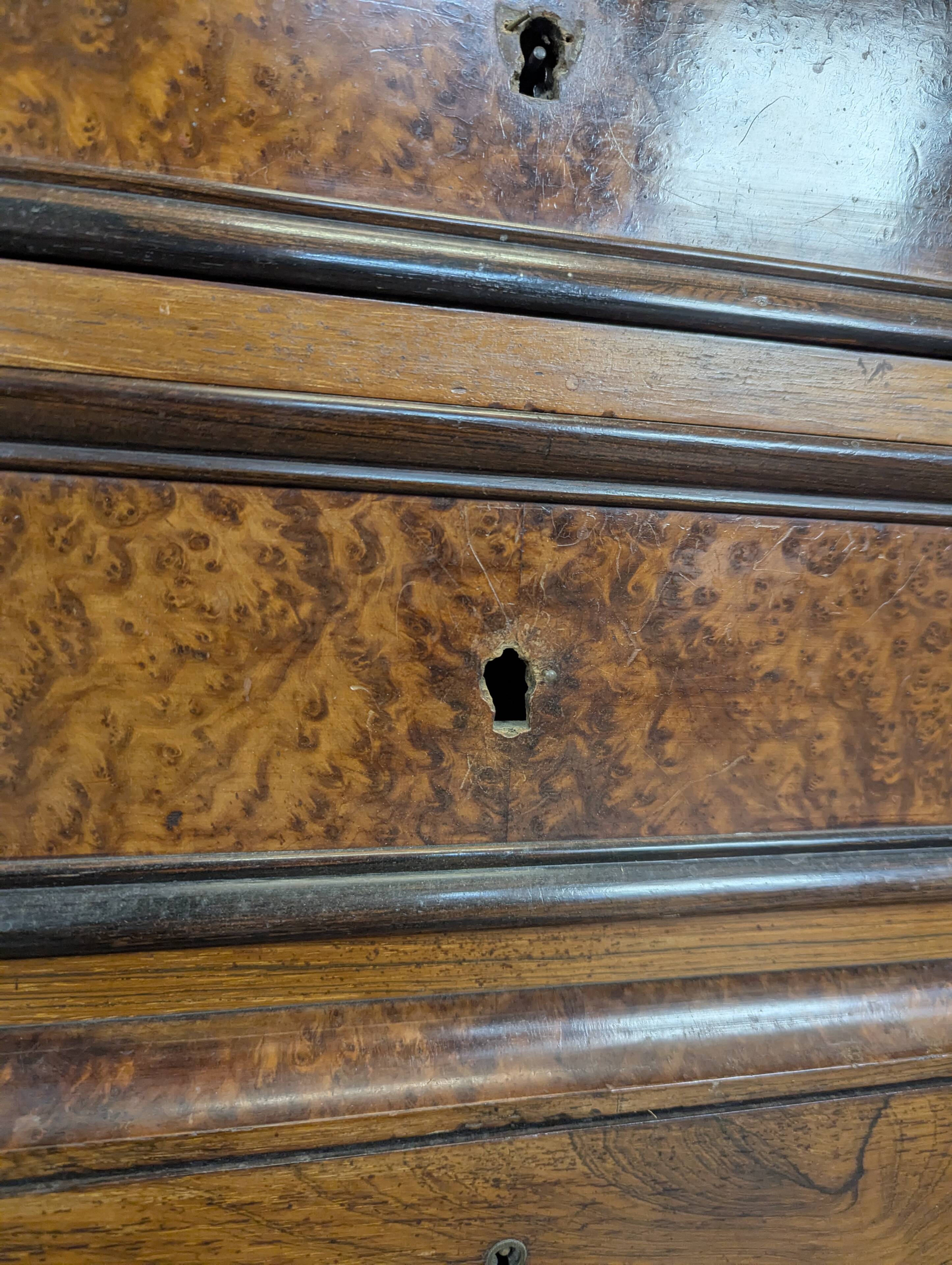 Elm burl and rosewood secretary chest of drawers