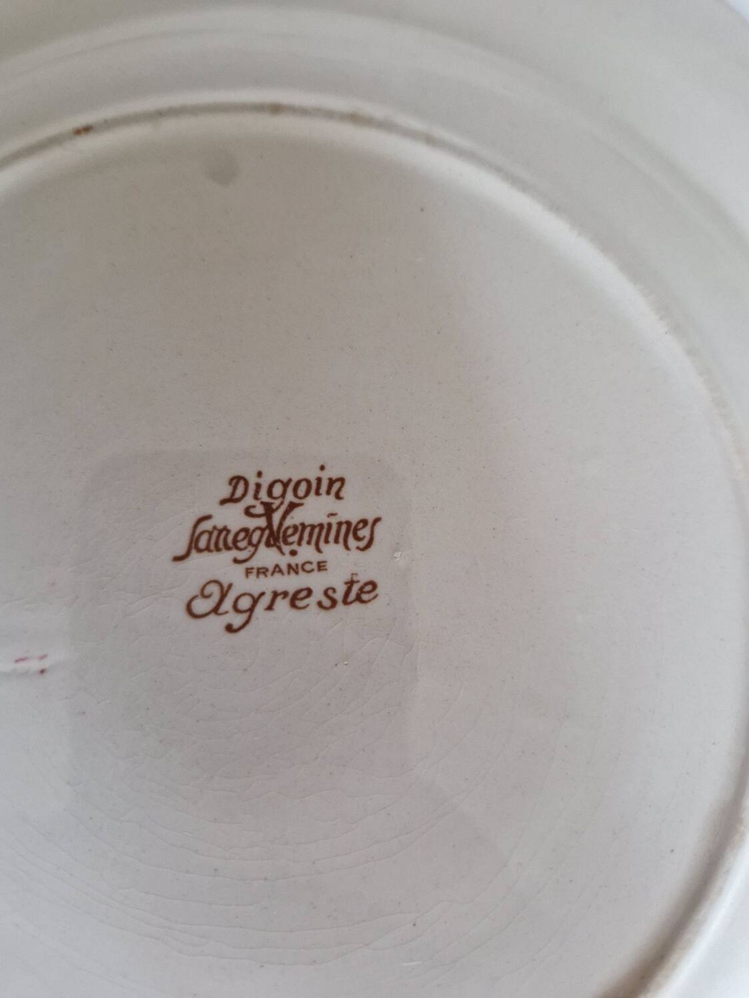Set of 12 Sarreguemines Plates, Agreste Models