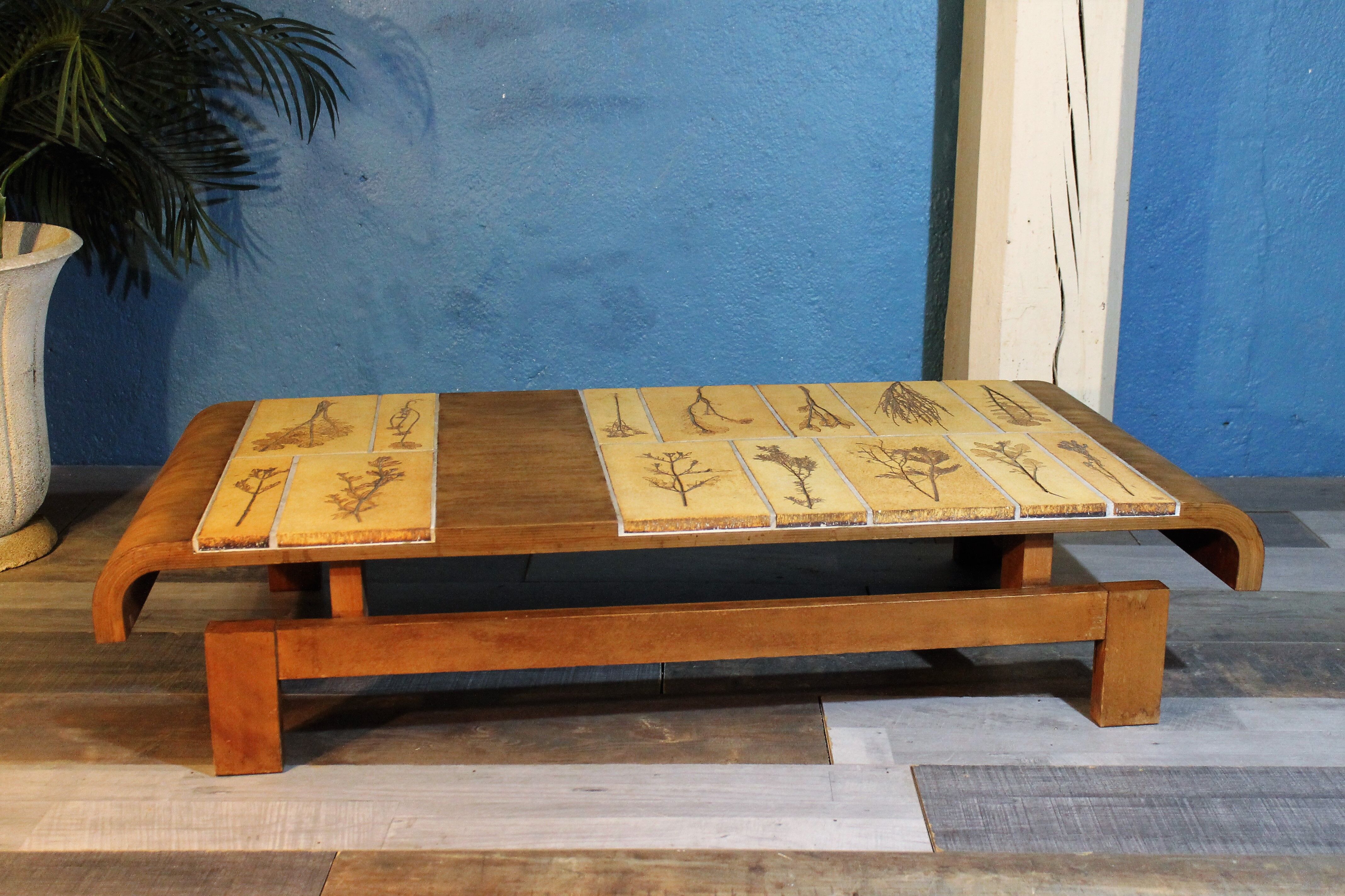 Herbarium Capron coffee table, 1960s