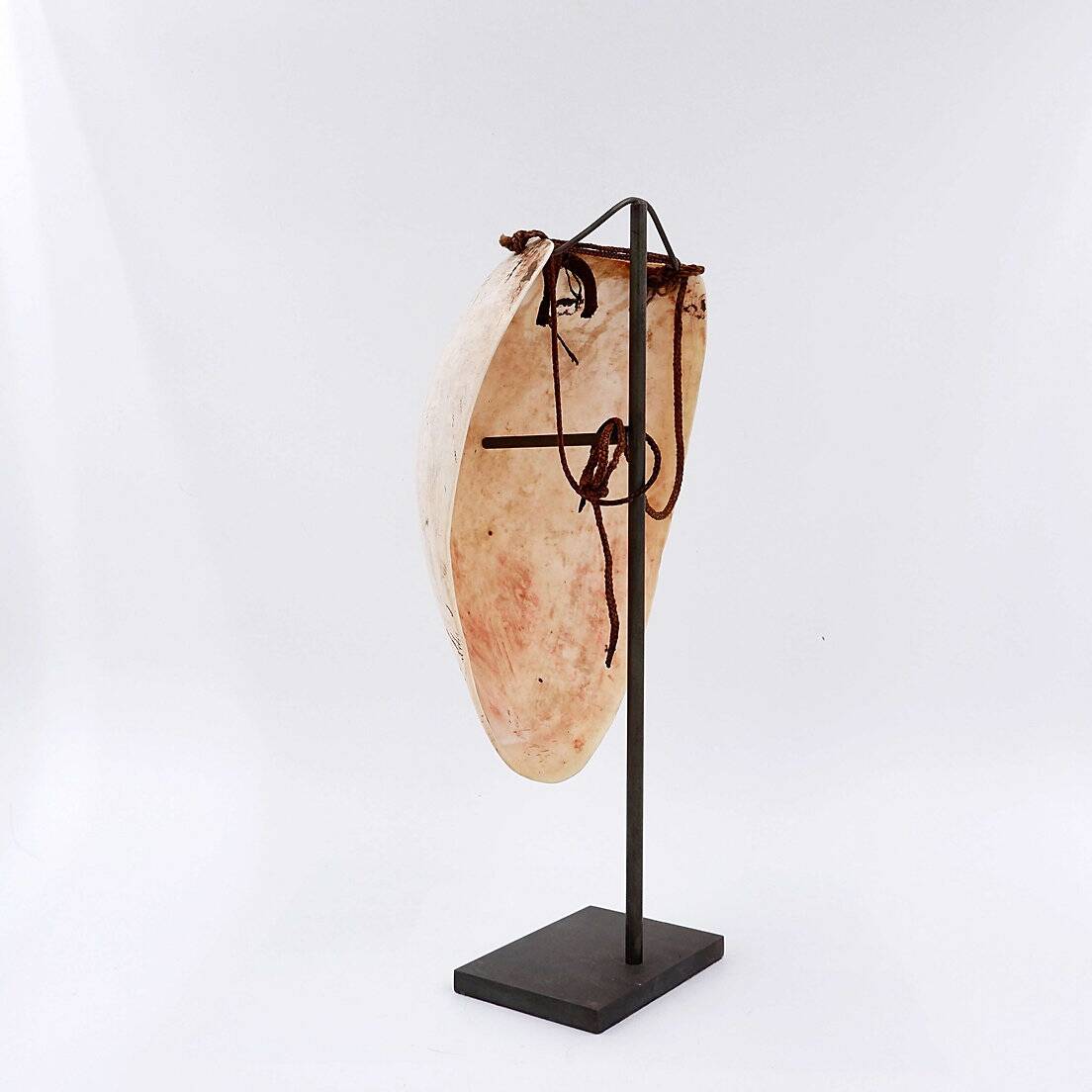 New Guinea Shell Breastplate