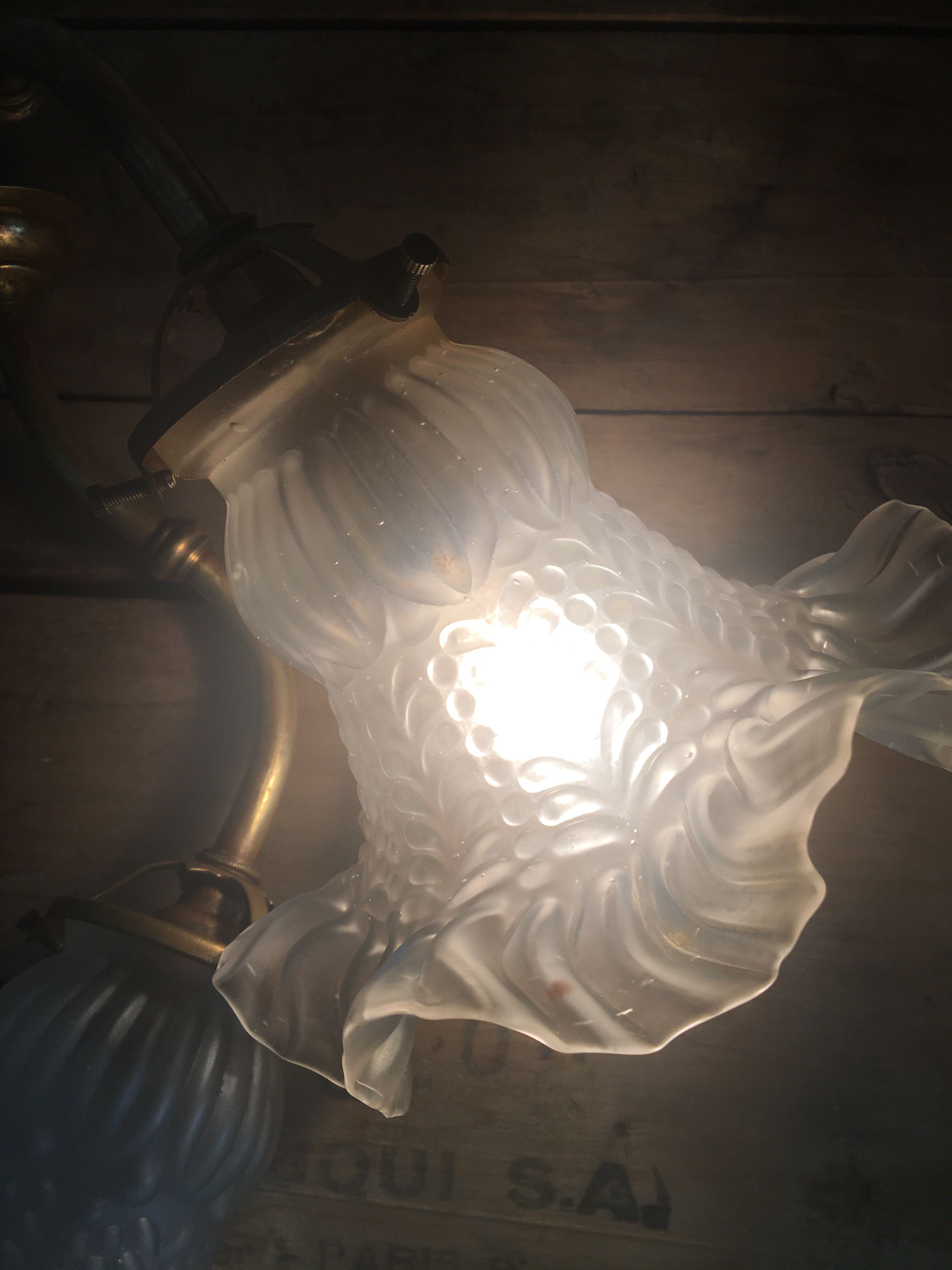 Glass wall light and brass swan collar, 1900