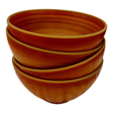 Set of 4 bowls Arcopal model Volcano