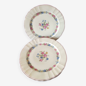 Assiettes anciennes porcelaine de Limoges Bernardaud & Cie