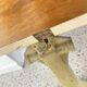 Old folding train table or wooden strapontin 1920 metal base