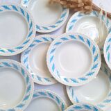 10 Amandinoise soup plates with blue oak leaves