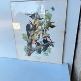 Tableau sous verre avec illustration oiseaux