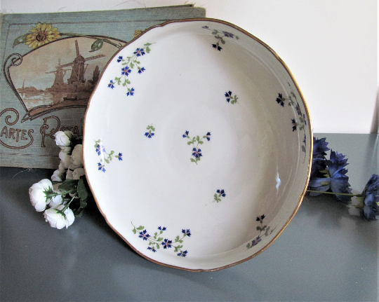 French antique porcelain fruit bowl by E. Bourgeois